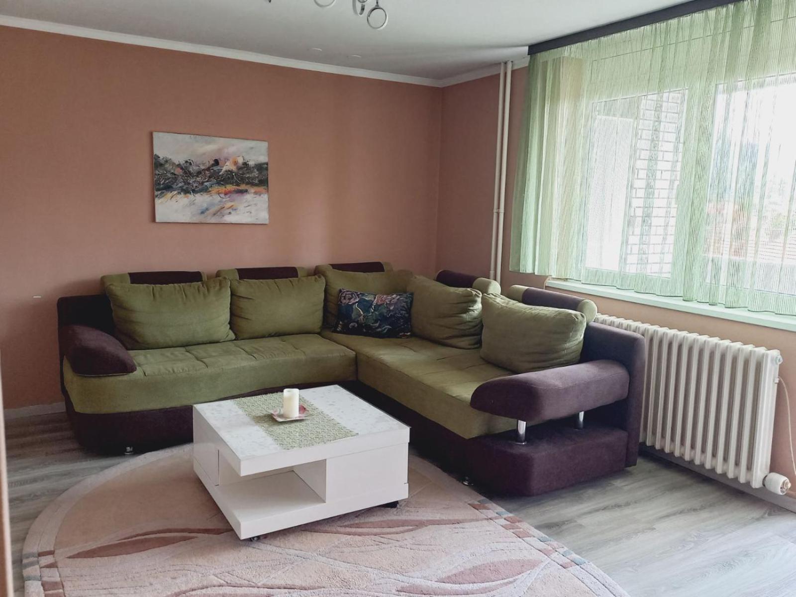Apartment Mountain View Pirot