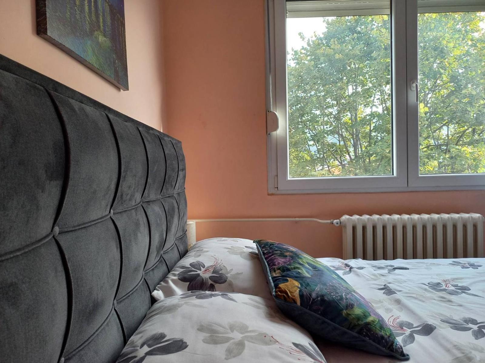 Apartment Mountain View Pirot